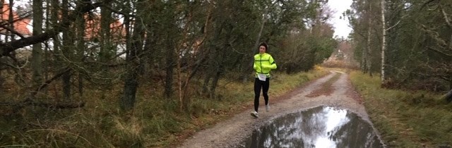 Råbjerg Mile Vinter-Trail 2024